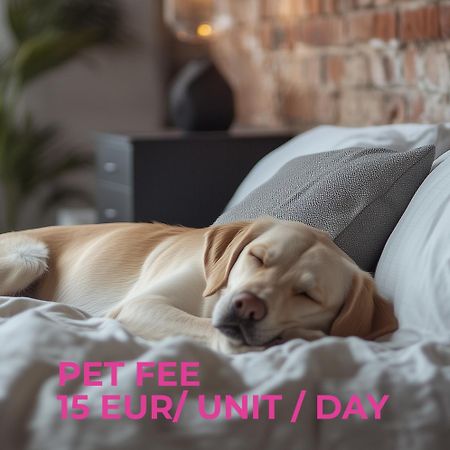 Cute Apartment Siauliai Free Parking Екстериор снимка